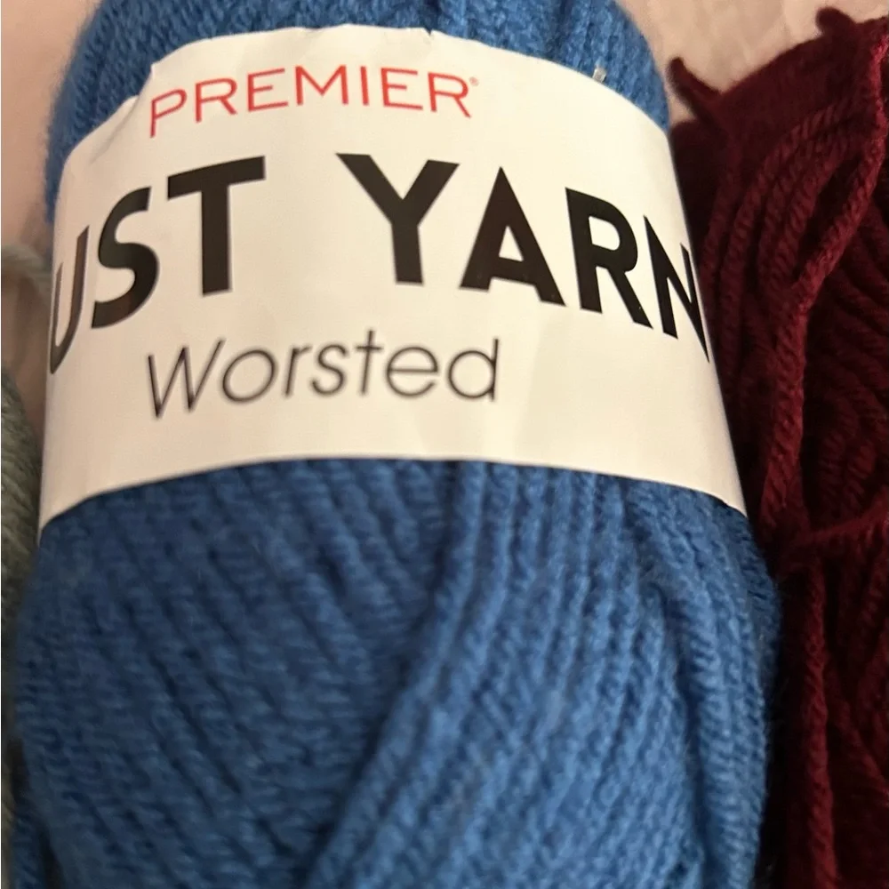 LOT Of 3 Mixed Premier JUST YARN  Worsted 2.11 oz / Skein* - 1 Just Chenille - Picture 3 of 11